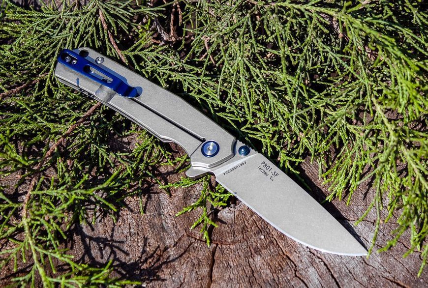 Ніж складаний туристичний Ruike P801-SF, (8.6 см) 14C28N / 3cr14n сірий 45084 фото