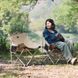 Стілець складаний Naturehike Stellaluna T01 CNH23JU13002, L, бежевий 1-68966 фото 4