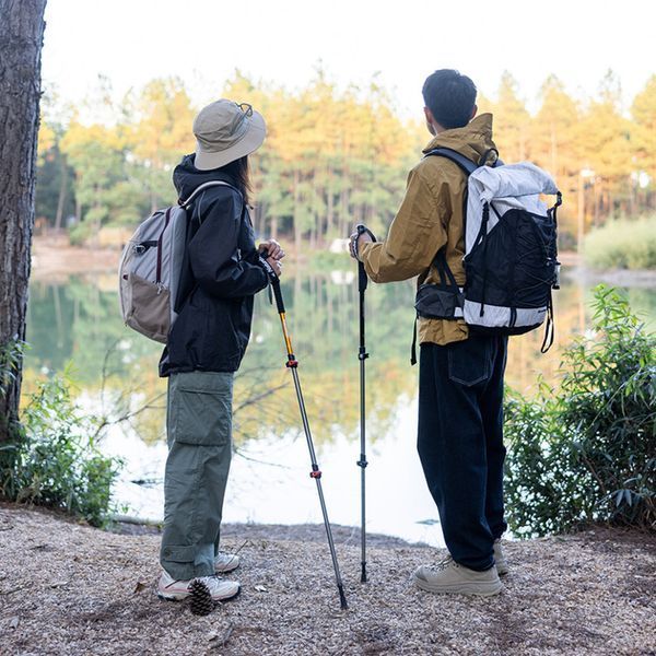 Трекінгова палиця алюмінієва Naturehike Qingxue Base NH17D001-Z, 61&ndash;135 см, титановий