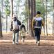 Трекінгова палиця алюмінієва Naturehike Qingxue Base NH17D001-Z, 61&ndash;135 см, титановий